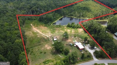 Lake Acreage For Sale in Villa Rica, Georgia