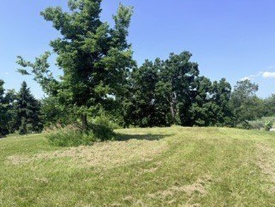 Here is your opportunity to build your dream home on one of the - photo 10