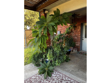 This well-maintained home sits on an expansive corner lot and - photo 31