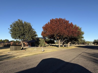 This well-maintained home sits on an expansive corner lot and - photo 48