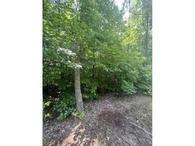 Lake Hartwell Lot For Sale in Westminster South Carolina