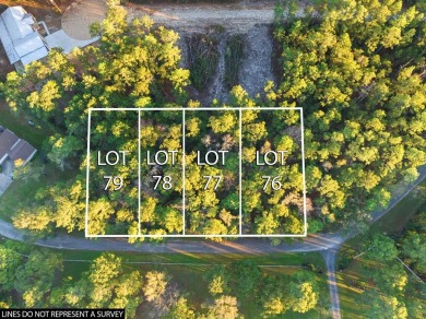 Lake Sam Rayburn  Lot For Sale in Brookeland Texas