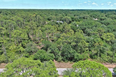 Lehigh Acres Area Lot For Sale in Lehigh Acres Florida