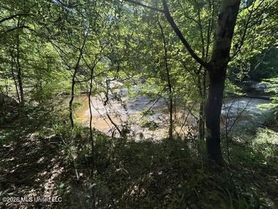 This secluded 9.88-acre property in Wilkinson County adjoining - photo 11