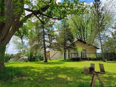 (private lake, pond, creek) Home For Sale in Marlette Michigan