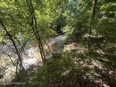 This secluded 9.88-acre property in Wilkinson County adjoining - photo 12