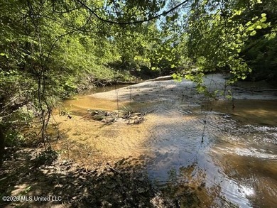 This secluded 9.88-acre property in Wilkinson County adjoining - photo 13