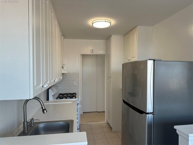 Experience elevated city living in this beautiful top-floor - photo 13