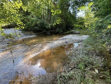 This secluded 9.88-acre property in Wilkinson County adjoining - photo 14
