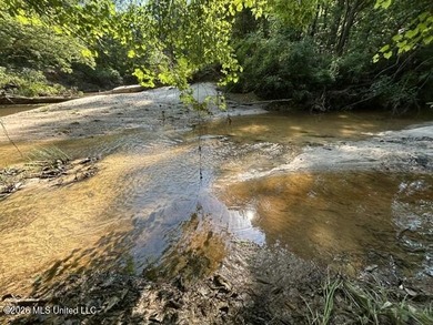 This secluded 9.88-acre property in Wilkinson County adjoining - photo 15
