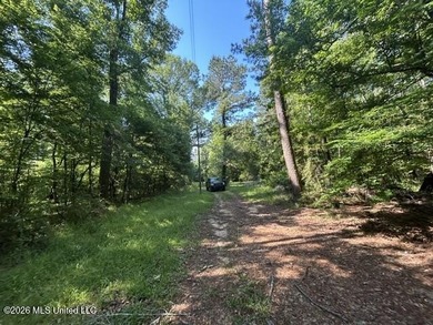 This secluded 9.88-acre property in Wilkinson County adjoining - photo 16