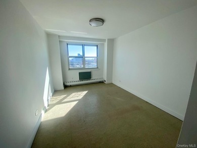 Experience elevated city living in this beautiful top-floor - photo 19