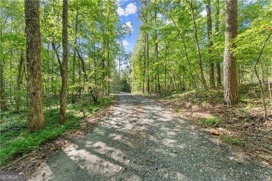 Lake Acreage For Sale in Dawsonville, Georgia