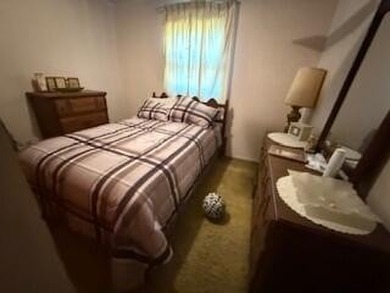 This home has two lots behind the subject that are being sold - photo 8