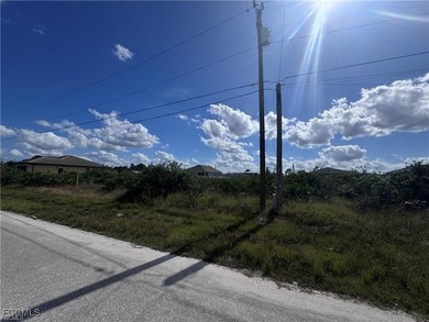 Lehigh Acres Area Lot For Sale in Lehigh Acres Florida