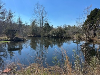 Lake Lot Sale Pending in Newton, Alabama