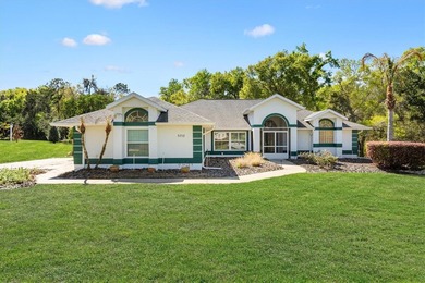 Under contract-accepting backup offers. Virtually Staged - photo 45