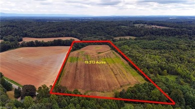 (private lake, pond, coastal) Acreage Sale Pending in Dobson North Carolina