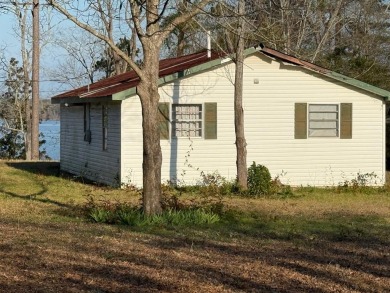 Lake Home For Sale in Abbeville, Alabama