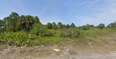 Lehigh Acres Area Lot For Sale in Lehigh Acres Florida
