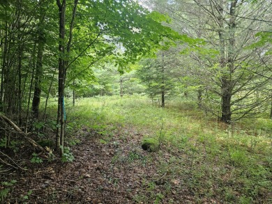 (private lake, pond, creek) Acreage For Sale in Piercefield New York