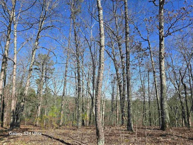 Welcome to market this 4.50-acre tract with mountain views and - photo 5