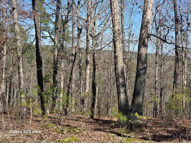 Welcome to market this 4.50-acre tract with mountain views and - photo 6