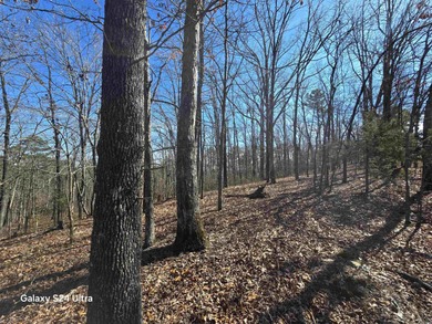 Welcome to market this 4.50-acre tract with mountain views and - photo 7