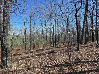 Welcome to market this 4.50-acre tract with mountain views and - photo 8