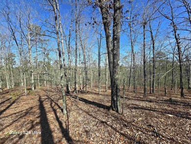 Welcome to market this 4.50-acre tract with mountain views and - photo 9