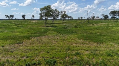 177 Ft of Shoreline on Lake Halbert! Ready to Build Site! - photo 27