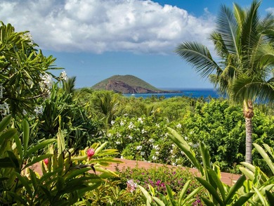 Makali'i Magnificence! Premium top row position with - photo 36