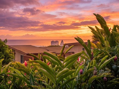 Makali'i Magnificence! Premium top row position with - photo 37