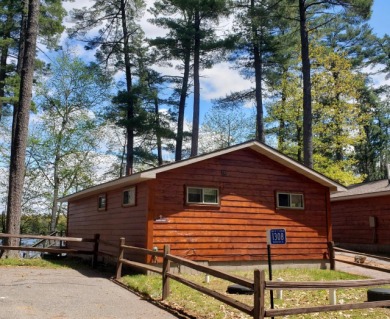 This charming 2bd/1ba cabin with a large, lakeside picture - Lake Condo For Sale in Saint Germain, Wisconsin
