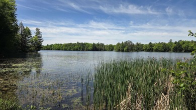 Beautifully Updated & Move-In Ready with Lake Access! Enjoy the - photo 2