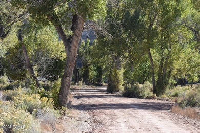 The Strawberry River Ranch located in Duchesne County - photo 7