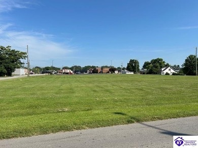 Green River Lake Commercial For Sale in Campbellsville Kentucky
