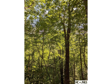 Lake Glenville Lot For Sale in Glenville North Carolina