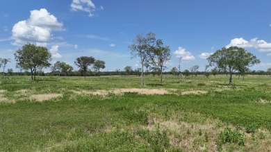 177 Ft of Shoreline on Lake Halbert! Ready to Build Site! - photo 8