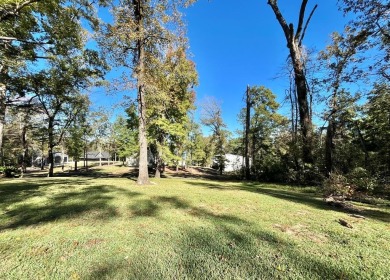 Stunning 2-bed, 2-bath (almost fully furnished) home offers - photo 4