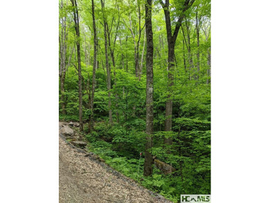 Lake Glenville Acreage For Sale in Cullowhee North Carolina