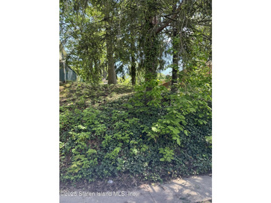 LAND FOR SALE 40 X 100 PRIME SUNNYSIDE LOCATION - photo 1