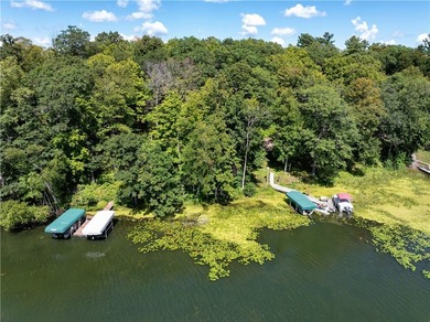 Perfect elevation lot on Long Lake! Experience one of - photo 3