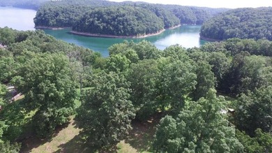 Beautiful lake front building lot located in Hickory Point - photo 4