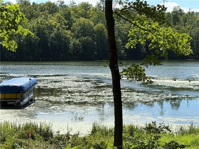 Perfect elevation lot on Long Lake! Experience one of - photo 4
