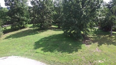 Beautiful lake front building lot located in Hickory Point - photo 5