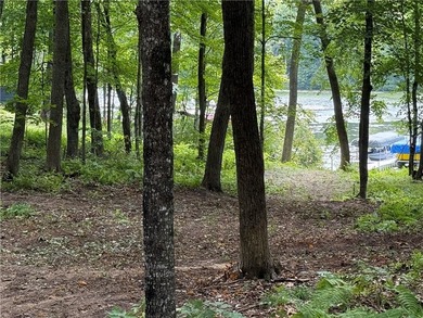 Perfect elevation lot on Long Lake! Experience one of - photo 6