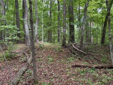 Perfect elevation lot on Long Lake! Experience one of - photo 7