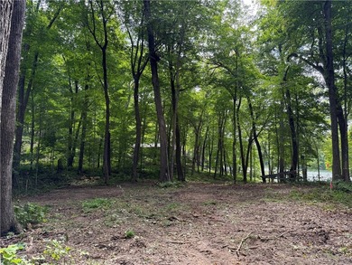 Perfect elevation lot on Long Lake! Experience one of - photo 8