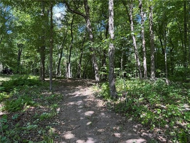 Perfect elevation lot on Long Lake! Experience one of - photo 9